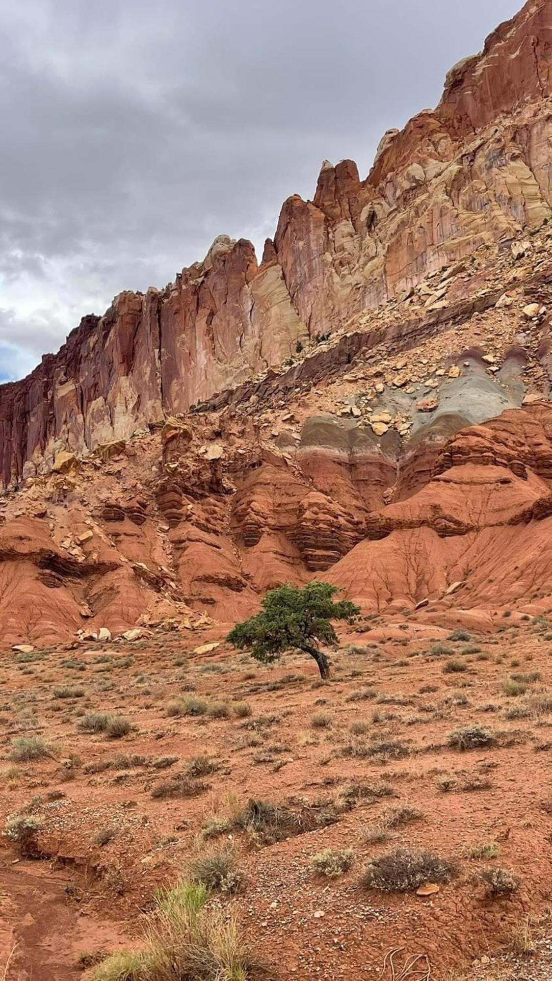 Bryce'S Zion House By Bryce Canyon National Park! Panguitch Ngoại thất bức ảnh